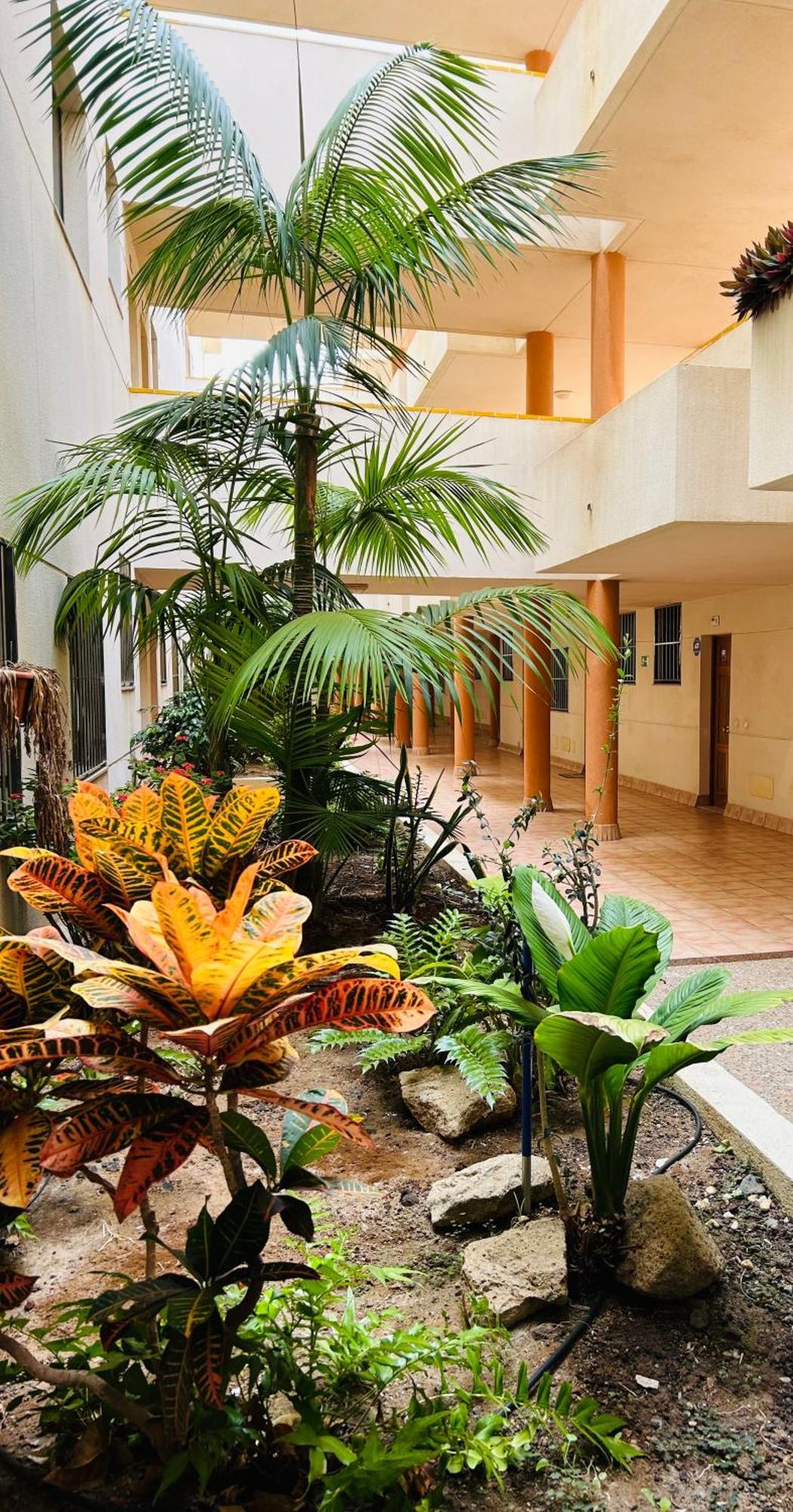 El Medano La Ola. Cabezo Beach 2 Rooms Parking Place Экстерьер фото
